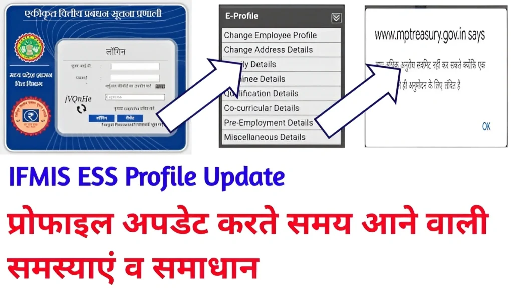 IFMIS Profile Update Problems